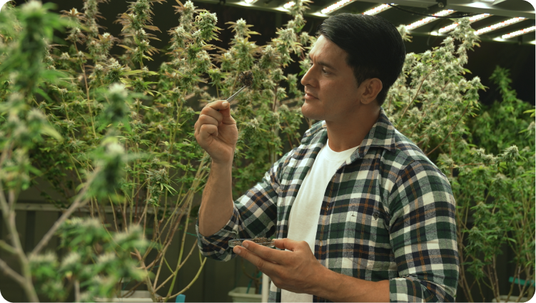 industrylistingimage